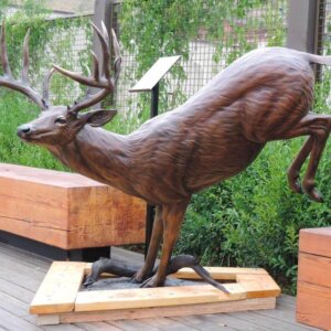 bronze whitetail deer sculpture